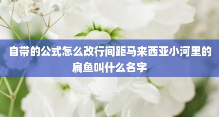 自带的公式怎么改行间距马来西亚小河里的扁鱼叫什么名字