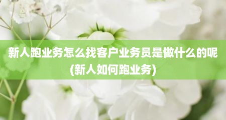 新人跑业务怎么找客户业务员是做什么的呢(新人如何跑业务)
