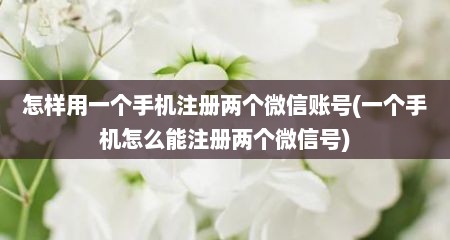 怎样用一个手机注册两个微信账号(一个手机怎么能注册两个微信号)