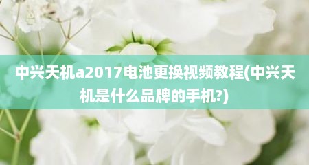 中兴天机a2017电池更换视频教程(中兴天机是什么品牌的手机?)