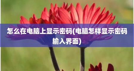 怎么在电脑上显示密码(电脑怎样显示密码输入界面)