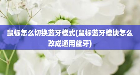 鼠标怎么切换蓝牙模式(鼠标蓝牙模块怎么改成通用蓝牙)