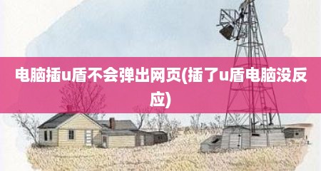 电脑插u盾不会弹出网页(插了u盾电脑没反应)