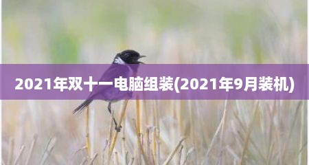 2021年双十一电脑组装(2021年9月装机)