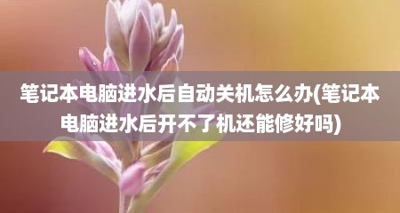 笔记本电脑进水后自动关机怎么办(笔记本电脑进水后开不了机还能修好吗)
