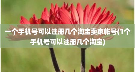 一个手机号可以注册几个淘宝卖家帐号(1个手机号可以注册几个淘宝)