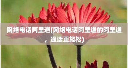 网络电话阿里通(网络电话阿里通的阿里通，通话十分轻松)