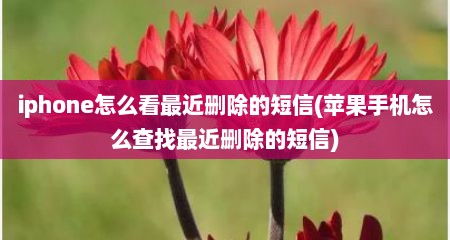 iphone怎么看最近删除的短信(苹果手机怎么查找最近删除的短信)