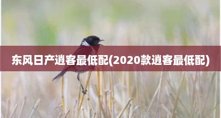 东风日产逍客最低配(2020款逍客最低配)