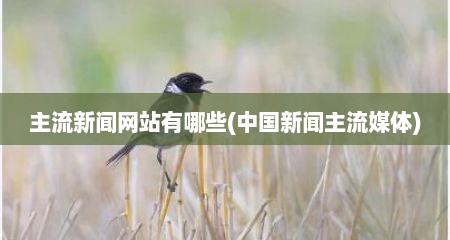 主流新闻网站有哪些(中国新闻主流媒体)