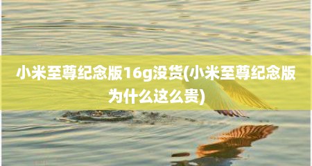 小米至尊纪念版16g没货(小米至尊纪念版为什么这么贵)