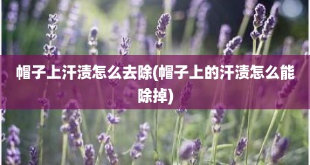 帽子上汗渍怎么去除(帽子上的汗渍怎么能除掉)
