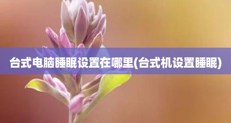台式电脑睡眠设置在哪里(台式机设置睡眠)