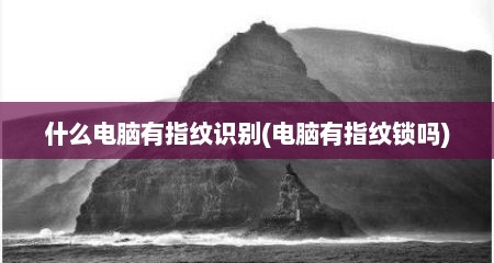 什么电脑有指纹识别(电脑有指纹锁吗)