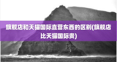 旗舰店和天猫国际直营东西的区别(旗舰店比天猫国际贵)