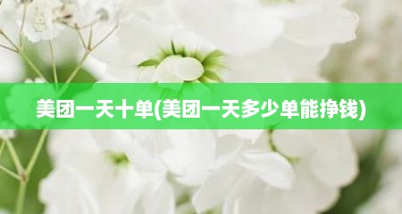 美团一天十单(美团一天多少单能挣钱)