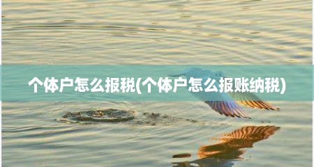 个体户怎么报税(个体户怎么报账纳税)