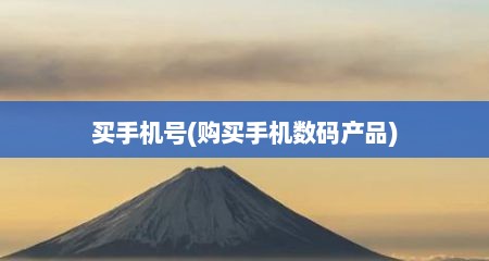 买手机号(购买手机数码产品)