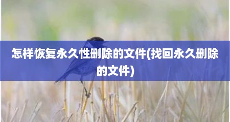 怎样恢复永久性删除的文件(找回永久删除的文件)