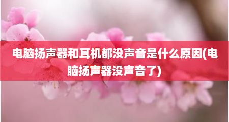 电脑扬声器和耳机都没声音是什么原因(电脑扬声器没声音了)