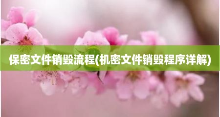 保密文件销毁流程(机密文件销毁程序详解)