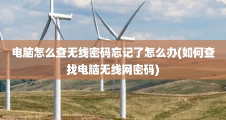 电脑怎么查无线密码忘记了怎么办(如何查找电脑无线网密码)