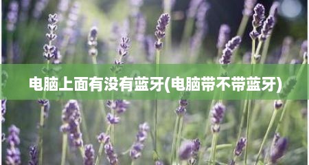 电脑上面有没有蓝牙(电脑带不带蓝牙)