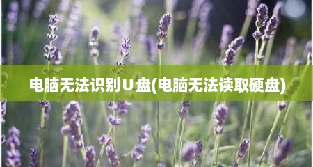 电脑无法识别∪盘(电脑无法读取硬盘)