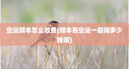 空运顺丰怎么收费(顺丰寄空运一般得多少钱啊)