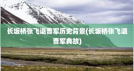 长坂桥张飞退曹军历史背景(长坂桥张飞退曹军典故)