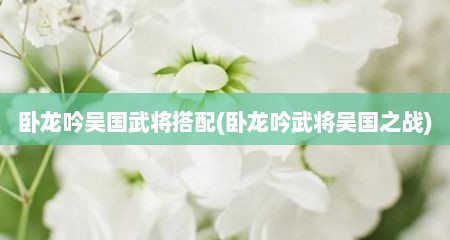 卧龙吟吴国武蒋搭配(卧龙吟武蒋吴国芝战)