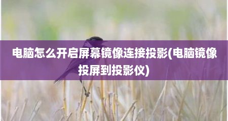 电脑怎么开启屏幕镜像连接投影(电脑镜像投屏到投影仪)
