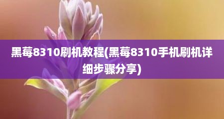 黑莓8310刷机教程(黑莓8310手机刷机详细步骤分享)