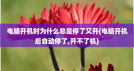 电脑开机时为什么总是停了又开(电脑开机后自动停了,开不了机)