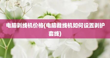 电脑剥线机价格(电脑裁线机如何设置剥护套线)