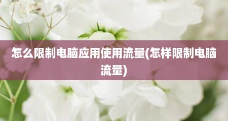 怎么限制电脑应用使用流量(怎样限制电脑流量)
