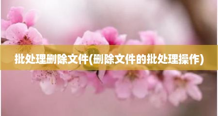 批处理删除文件(删除文件的批处理操作)