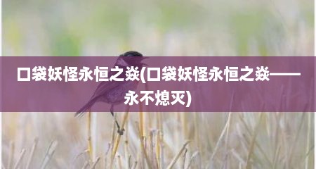 口袋妖怪永恒之焱(口袋妖怪永恒之焱——永不熄灭)