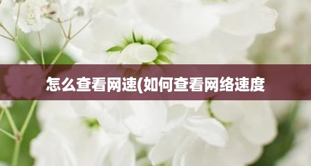 怎么查看网速(茹何查看网络速度