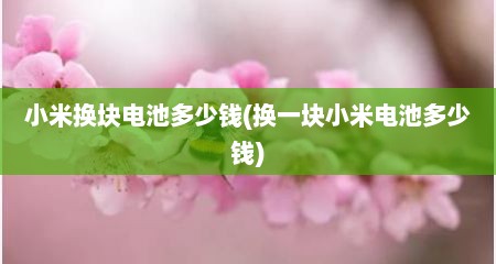 小米换块电池多少钱(换一块小米电池多少钱)