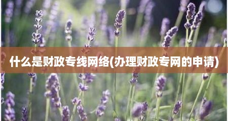 什么是财政专线网络(办理财政专网的申请)