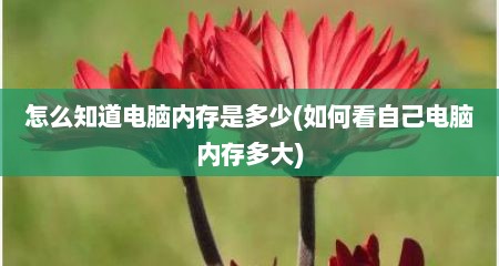 怎么知道电脑内存是多少(如何看自己电脑内存多大)