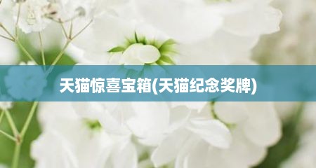 天猫惊喜宝箱(天猫纪念奖牌)