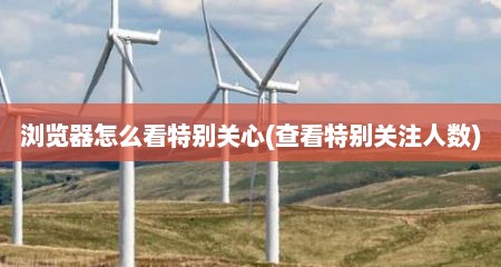 浏览器怎么看特别关心(查看特别关注人数)