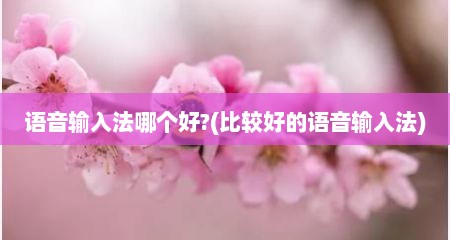 语音输入法哪个好?(比较好的语音输入法)