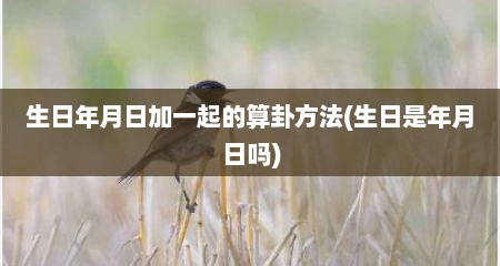 生日年月日加一起的算卦方法(生日是年月日吗)