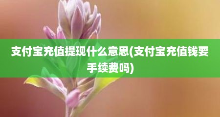 支付宝充值提现什么意思(支付宝充值钱要手续费吗)