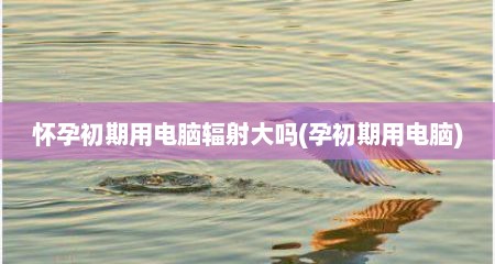 怀孕初期用电脑辐射大吗(孕初期用电脑)