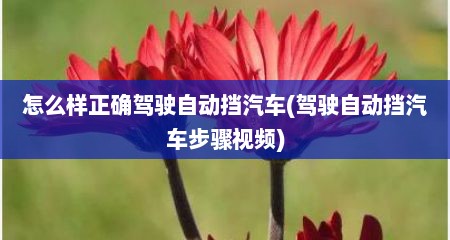 怎么样正确驾驶自动挡汽车(驾驶自动挡汽车步骤视频)