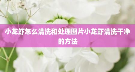 小龙虾怎么清洗和处理图片小龙虾清洗干净的方法